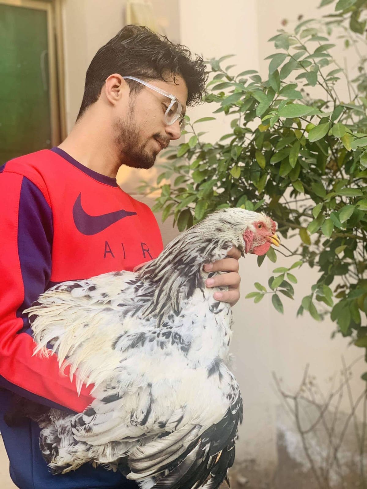 Saaim holding a chicken beside garden plants